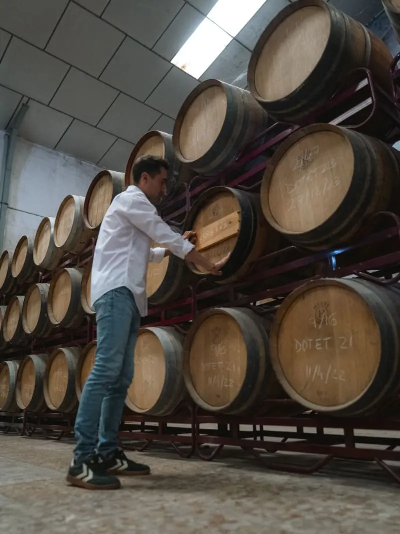 Fotografía histórica de bodegas de la comarca de Mondéjar