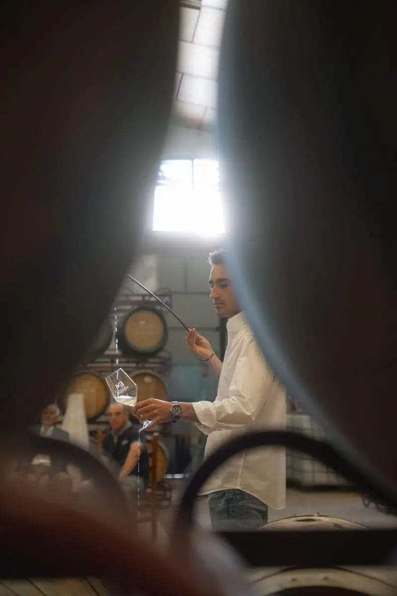 Imagen histórica de viñedos y bodegas de la D.O. Mondéjar