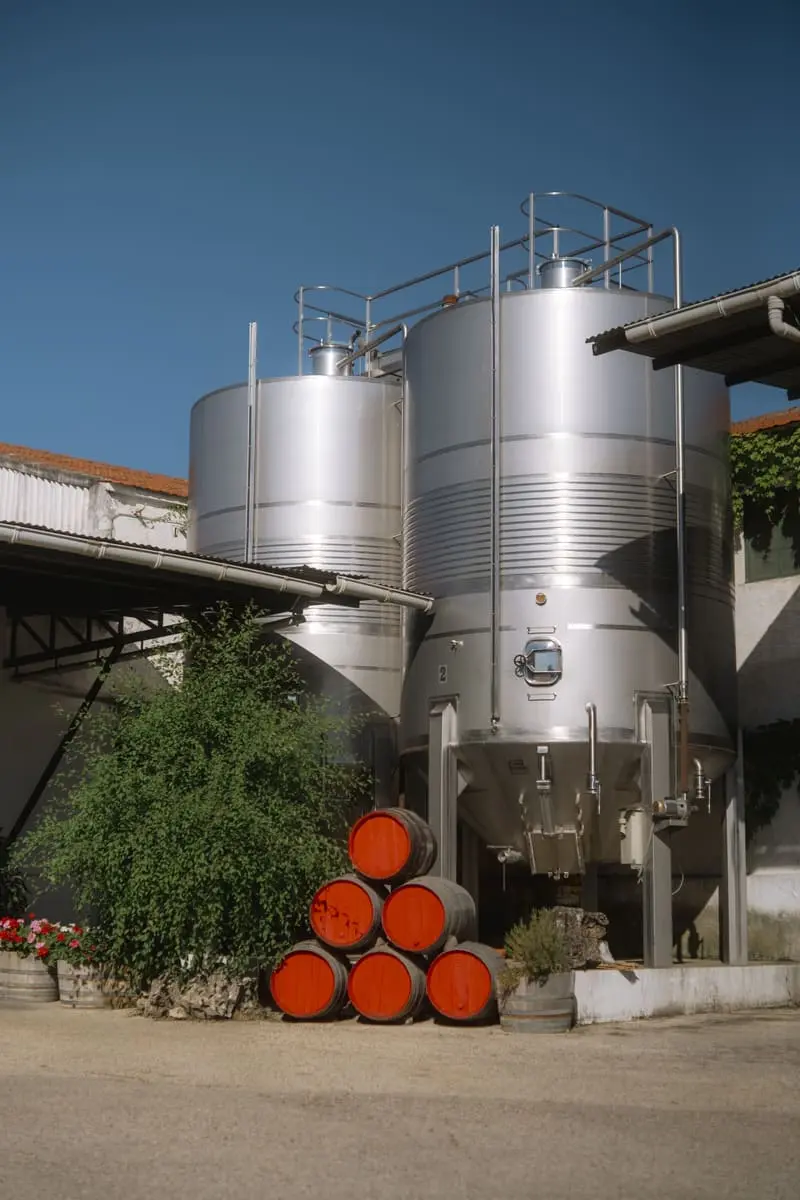 Fotografía de archivo de la cultura del vino en Mondéjar