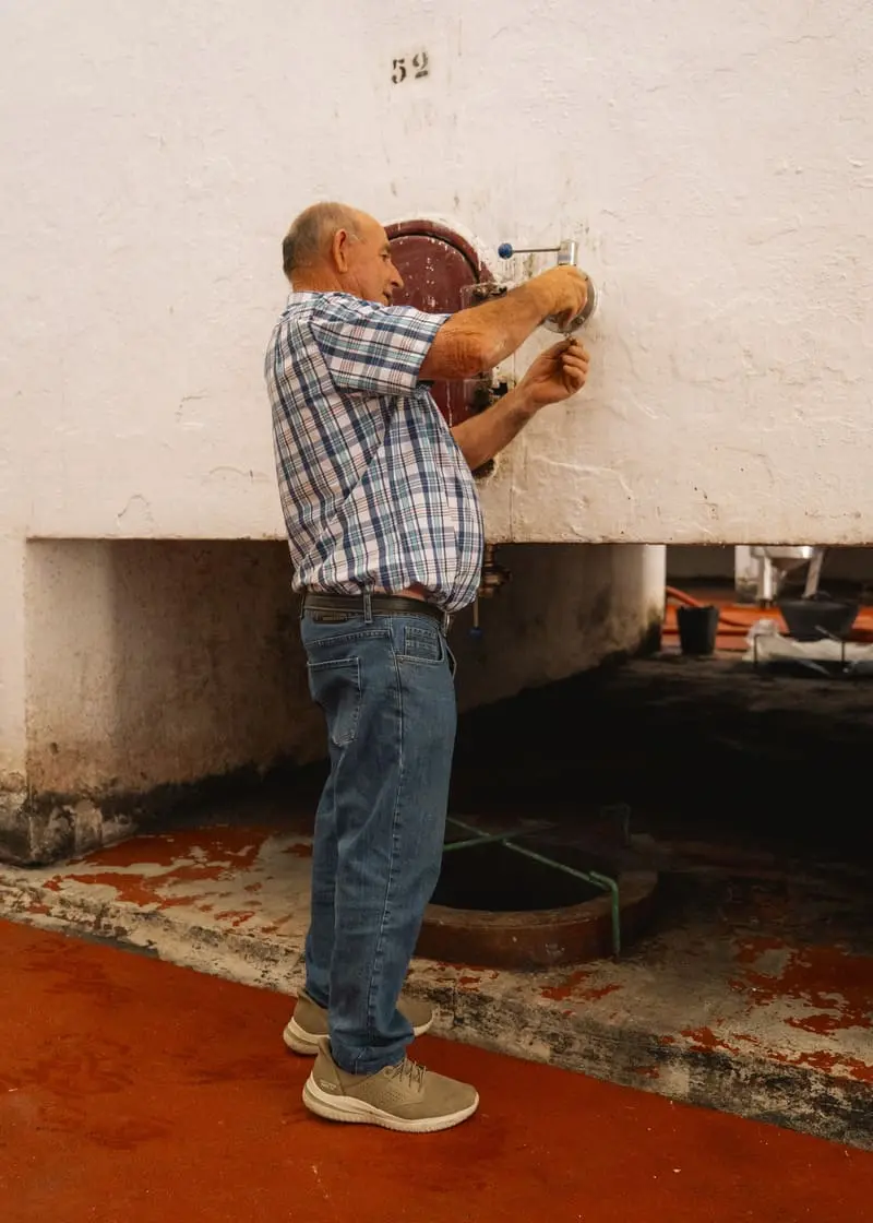 Momento histórico vinculado a la Denominación de Origen Mondéjar